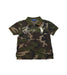 A Multicolour Short Sleeve Polos from Polo Ralph Lauren in size 2T for boy. (Front View)