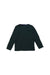 A Multicolour Long Sleeve T Shirts from Petit Bateau in size 18-24M for boy. (Back View)