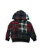 A Multicolour Hooded Sweatshirts from Polo Ralph Lauren in size 2T for boy. (Front View)