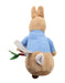 A Brown Soft Toys from Peter Rabbit in size O/S for neutral. (Back View)