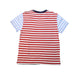 A Multicolour Short Sleeve T Shirts from Polo Ralph Lauren in size 10Y for boy. (Back View)