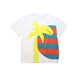 A Multicolour Short Sleeve T Shirts from Stella McCartney in size 12Y for boy. (Front View)