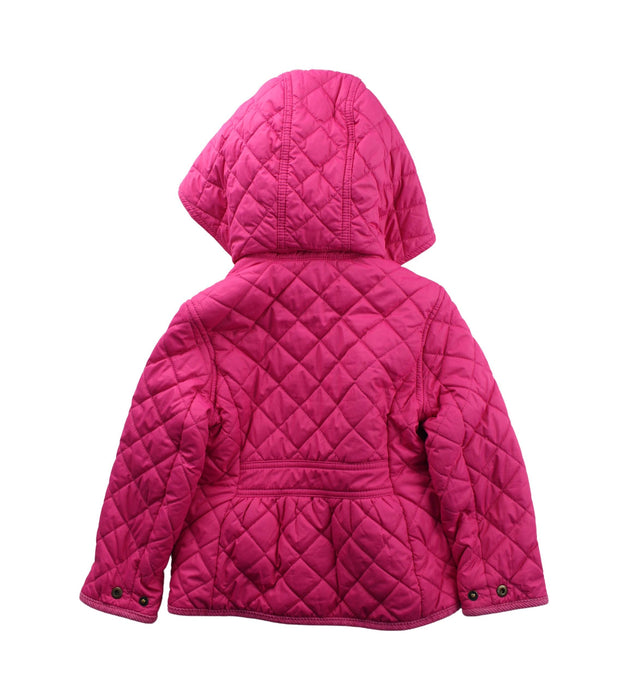 A Pink Puffer/Quilted Jackets from Polo Ralph Lauren in size 3T for girl. (Back View)