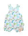 A Multicolour Sleeveless Rompers from Cotton Pigs in size 3-6M for boy. (Front View)