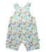 A Multicolour Sleeveless Rompers from Cotton Pigs in size 12-18M for boy. (Front View)