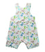 A Multicolour Sleeveless Rompers from Cotton Pigs in size 12-18M for boy. (Back View)
