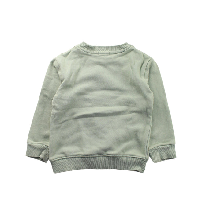 A Green Crewneck Sweatshirts from Felix & Mina in size 3T for neutral. (Back View)