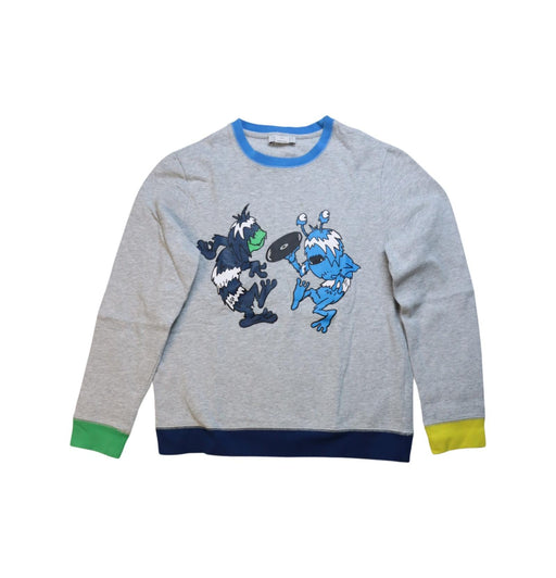 A Multicolour Crewneck Sweatshirts from Stella McCartney in size 14Y for boy. (Front View)