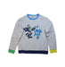 A Multicolour Crewneck Sweatshirts from Stella McCartney in size 14Y for boy. (Front View)