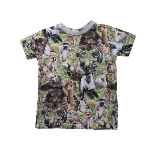 A Multicolour Short Sleeve T Shirts from Molo in size 6T for boy. (Front View)