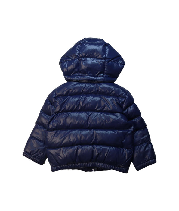 A Navy Puffer/Quilted Jackets from Polo Ralph Lauren in size 2T for boy. (Back View)