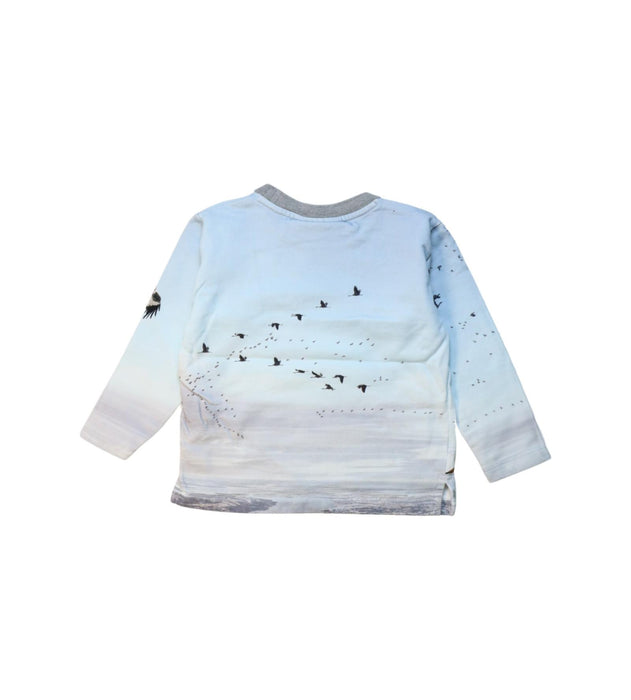 A Multicolour Crewneck Sweatshirts from Molo in size 3T for boy. (Back View)