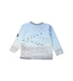 A Multicolour Crewneck Sweatshirts from Molo in size 3T for boy. (Back View)