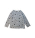 A Multicolour Long Sleeve T Shirts from Ebbe in size 4T for boy. (Front View)