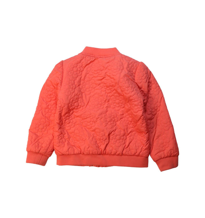 A Orange Lightweight Jackets from Seed in size 5T for girl. (Back View)