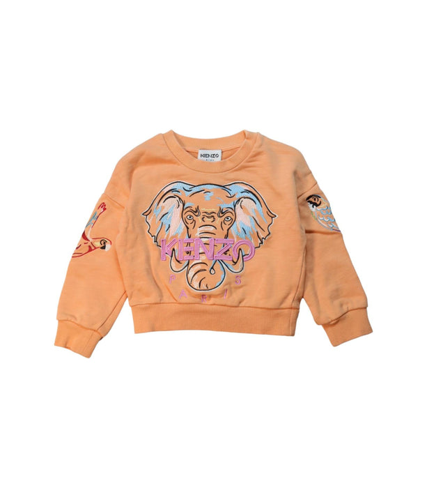 A Multicolour Crewneck Sweatshirts from Kenzo in size 3T for boy. (Front View)
