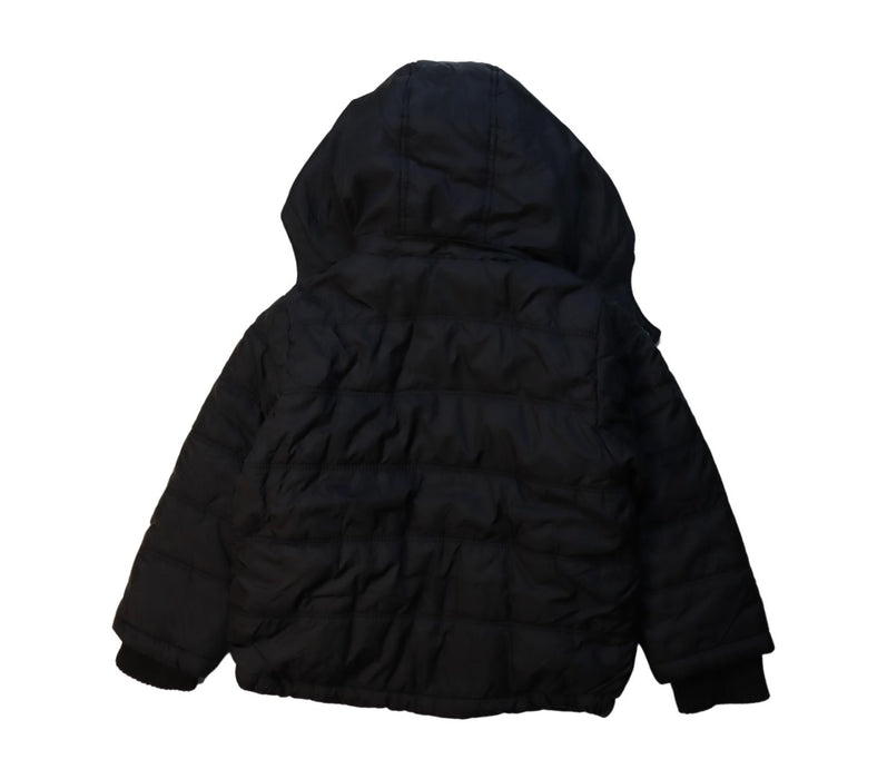 A Black Puffer/Quilted Jackets from Calvin Klein in size 4T for boy. (Back View)