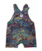 A Multicolour Overall Shorts from Hysteric Mini in size 12-18M for girl. (Back View)