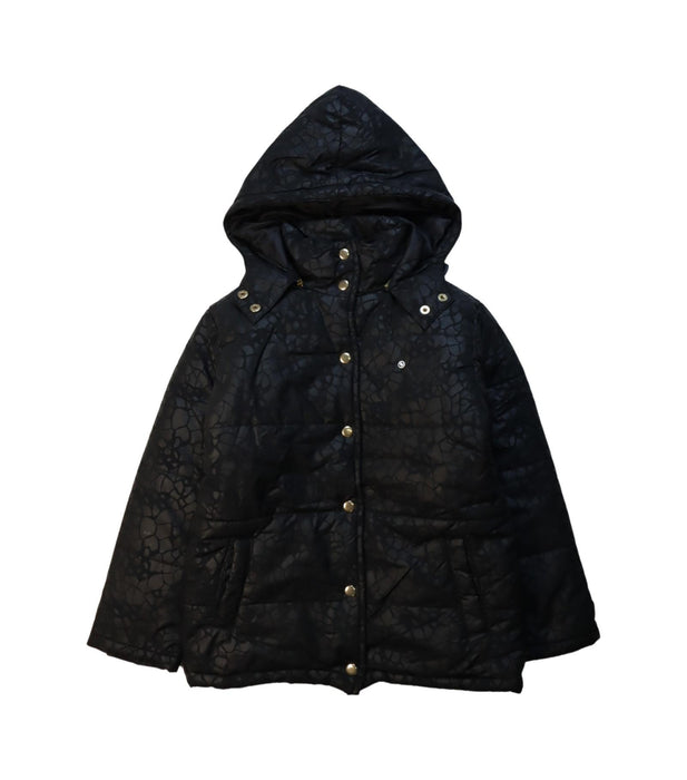 A Black Puffer/Quilted Jackets from A for Apple in size 5T for girl. (Front View)