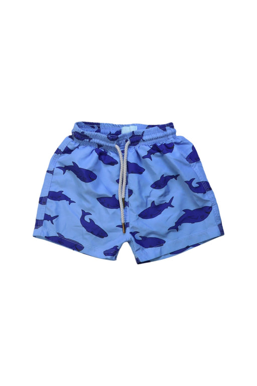 A Blue Swim Shorts from Trotters in size 2T for boy. (Front View)