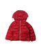 A Red Puffer/Quilted Jackets from Moncler in size 6-12M for neutral. (Front View)