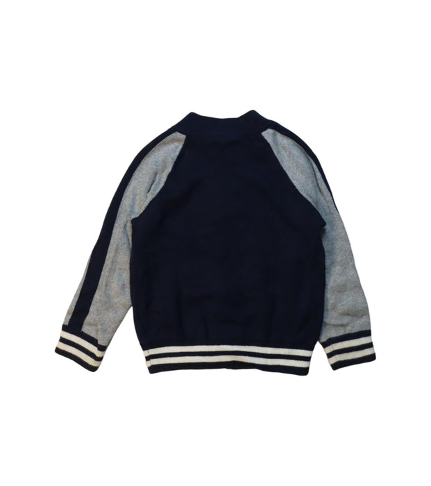 A Multicolour Zippered Sweatshirts from Polo Ralph Lauren in size 3T for boy. (Back View)