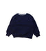 A Navy Crewneck Sweatshirts from Polo Ralph Lauren in size 3T for boy. (Back View)