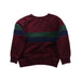 A Red Crewneck Sweatshirts from Polo Ralph Lauren in size 5T for boy. (Back View)