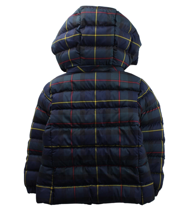 A Blue Puffer/Quilted Jackets from Polo Ralph Lauren in size 3T for boy. (Back View)