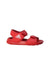 A Red Sandals from Adidas in size 12-18M for neutral. (Front View)