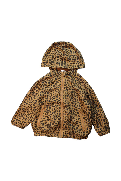 A Brown Lightweight Jackets from Seed in size 3T for girl. (Front View)