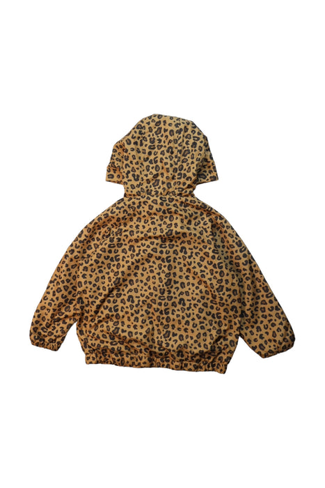 A Brown Lightweight Jackets from Seed in size 3T for girl. (Back View)