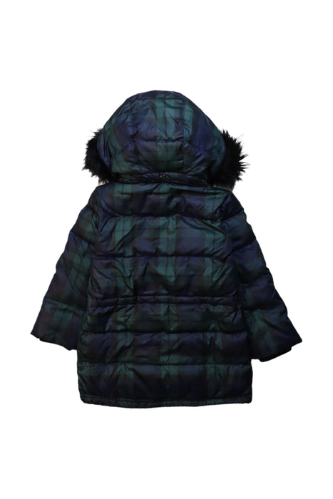 A Multicolour Puffer/Quilted Jackets from Polo Ralph Lauren in size 3T for neutral. (Back View)