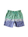 A Green Shorts from Crewcuts in size 4T for boy. (Front View)