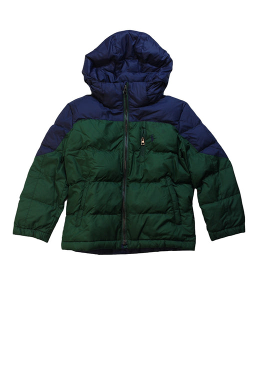 A Blue Puffer/Quilted Jackets from Polo Ralph Lauren in size 5T for boy. (Front View)