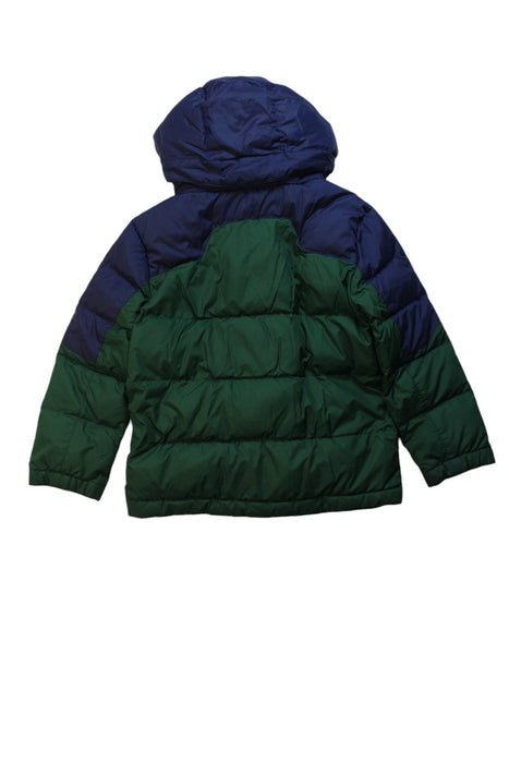 A Blue Puffer/Quilted Jackets from Polo Ralph Lauren in size 5T for boy. (Back View)