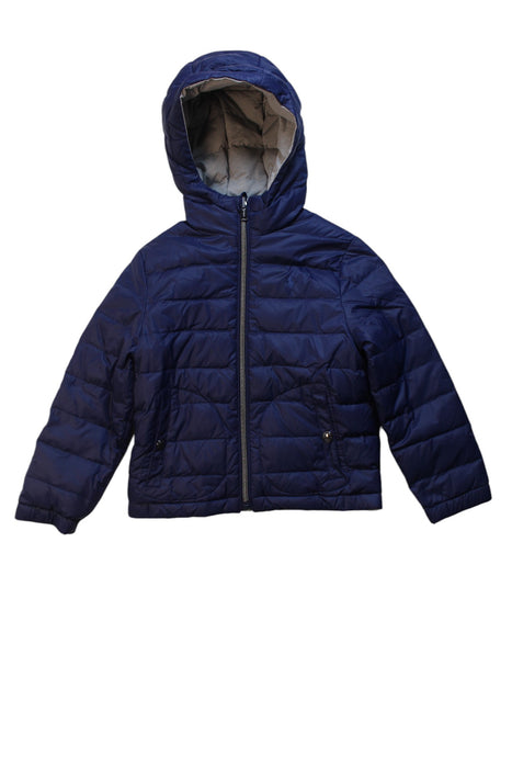 A Blue Puffer/Quilted Jackets from Polo Ralph Lauren in size 5T for boy. (Front View)