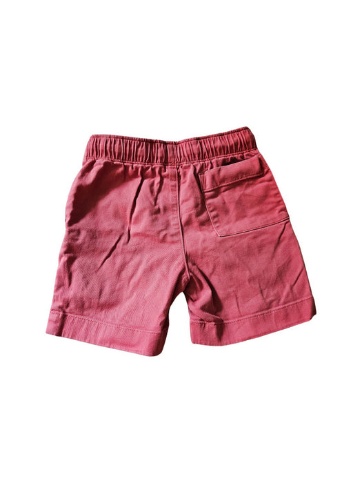 A Pink Shorts from Crewcuts in size 4T for neutral. (Back View)