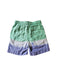 A Green Shorts from Crewcuts in size 4T for boy. (Back View)