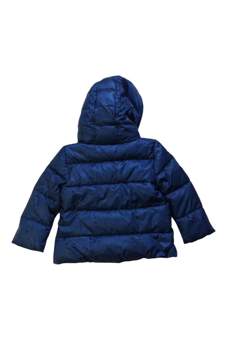 A Blue Puffer/Quilted Jackets from Tommy Hilfiger in size 12-18M for boy. (Back View)