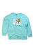 A Green Crewneck Sweatshirts from The North Face in size 10Y for boy. (Front View)