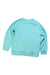 A Green Crewneck Sweatshirts from The North Face in size 10Y for boy. (Back View)