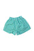 A Teal Shorts from Seed in size 5T for girl. (Back View)