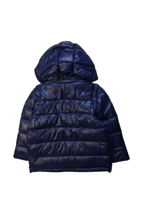 A Navy Puffer/Quilted Jackets from Nicholas & Bears in size 6T for boy. (Back View)