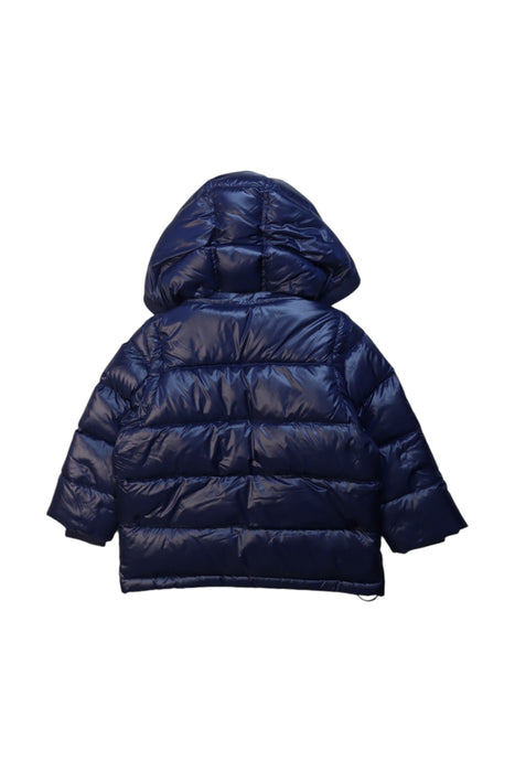 A Navy Puffer/Quilted Jackets from Nicholas & Bears in size 3T for boy. (Back View)