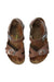 A Brown Sandals from Birkenstock in size 5T for girl. (Back View)