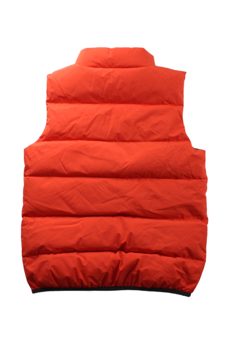 A Red Outerwear Vests from Bonpoint in size 10Y for boy. (Back View)