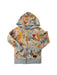 A Multicolour Zippered Sweatshirts from Care Bears in size 4T for neutral. (Front View)