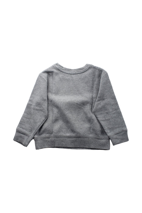 A Grey Crewneck Sweatshirts from Polo Ralph Lauren in size 3T for boy. (Back View)