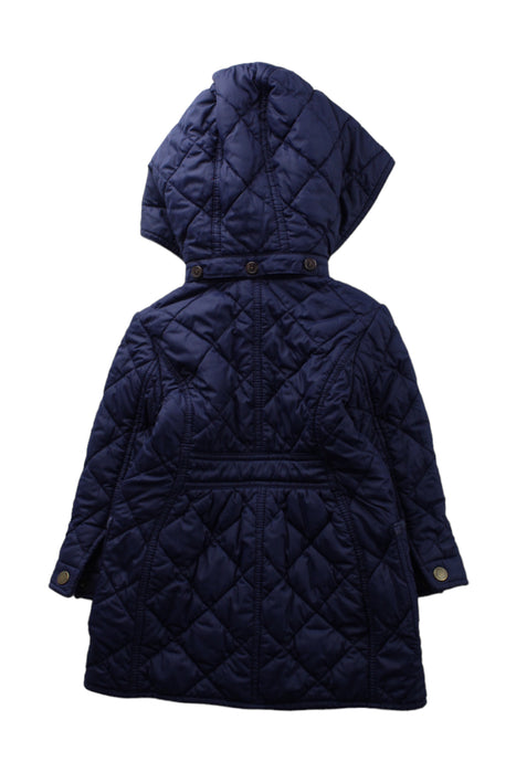 A Blue Puffer/Quilted Jackets from Polo Ralph Lauren in size 2T for boy. (Back View)